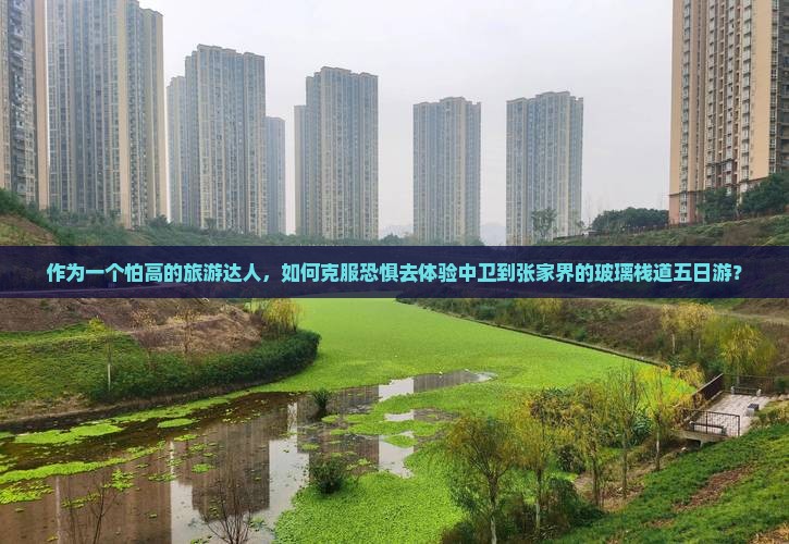 作为一个怕高的旅游达人，如何克服恐惧去体验中卫到张家界的玻璃栈道五日游？