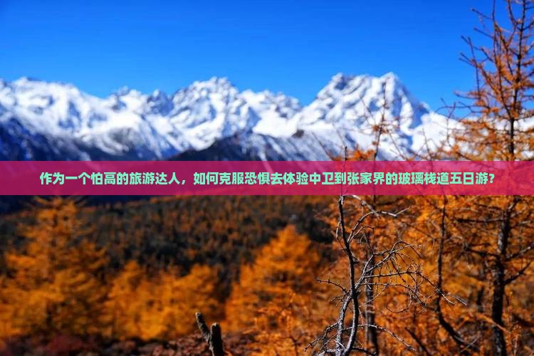 作为一个怕高的旅游达人，如何克服恐惧去体验中卫到张家界的玻璃栈道五日游？