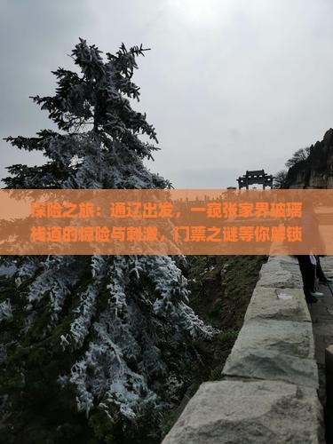 探险之旅：通辽出发，一窥张家界玻璃栈道的惊险与刺激，门票之谜等你解锁！