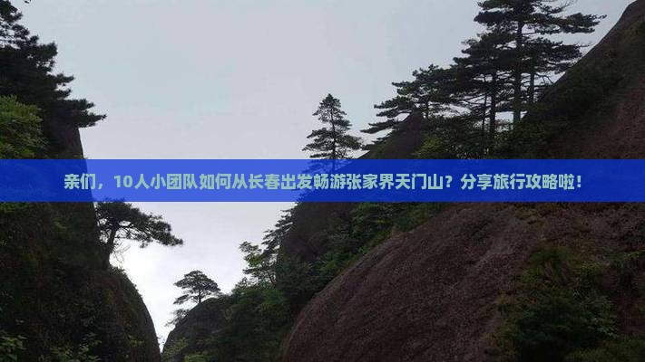 亲们，10人小团队如何从长春出发畅游张家界天门山？分享旅行攻略啦！