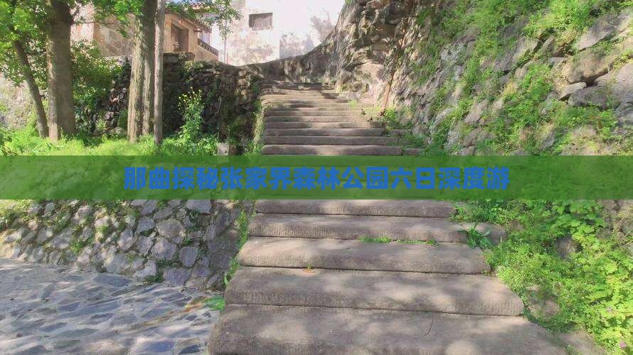 那曲探秘张家界森林公园六日深度游