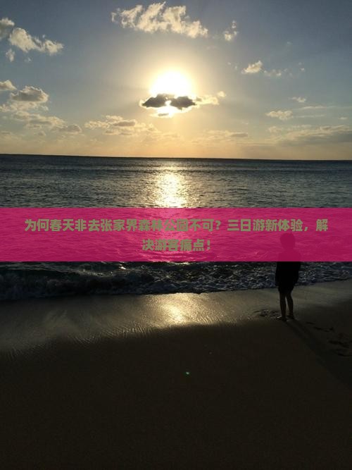 为何春天非去张家界森林公园不可？三日游新体验，解决游客痛点！