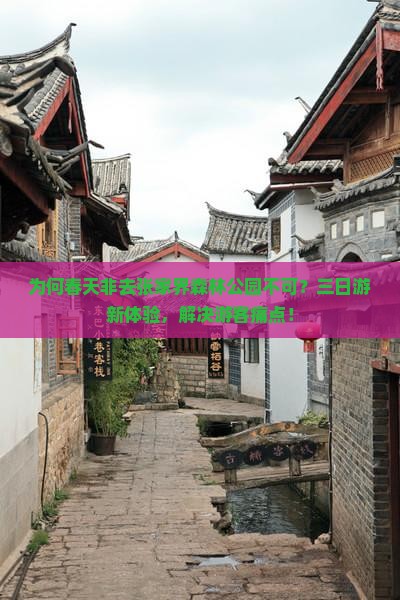 为何春天非去张家界森林公园不可？三日游新体验，解决游客痛点！