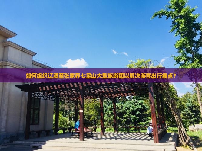 如何组织辽源至张家界七星山大型旅游团以解决游客出行痛点？