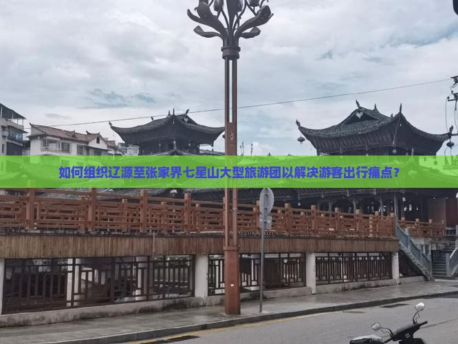 如何组织辽源至张家界七星山大型旅游团以解决游客出行痛点？