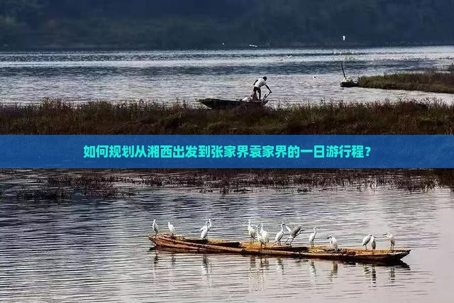 如何规划从湘西出发到张家界袁家界的一日游行程？