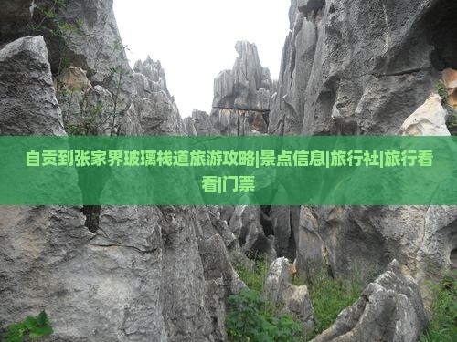 自贡到张家界玻璃栈道旅游攻略|景点信息|旅行社|旅行看看|门票