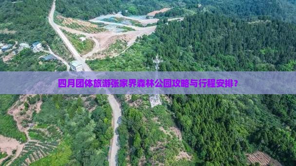 四月团体旅游张家界森林公园攻略与行程安排？