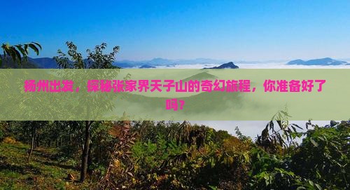 扬州出发，探秘张家界天子山的奇幻旅程，你准备好了吗？