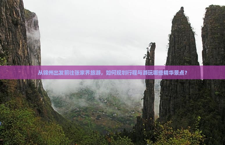 从锦州出发前往张家界旅游，如何规划行程与游玩哪些精华景点？