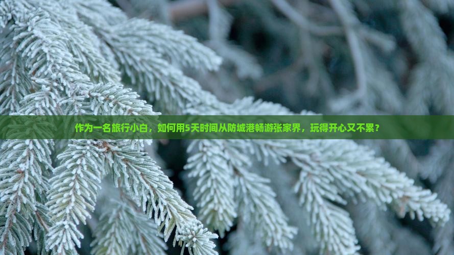 作为一名旅行小白，如何用5天时间从防城港畅游张家界，玩得开心又不累？