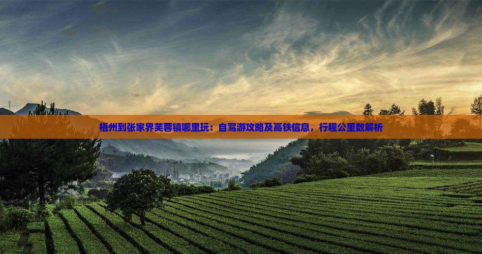 梧州到张家界芙蓉镇哪里玩：自驾游攻略及高铁信息，行程公里数解析