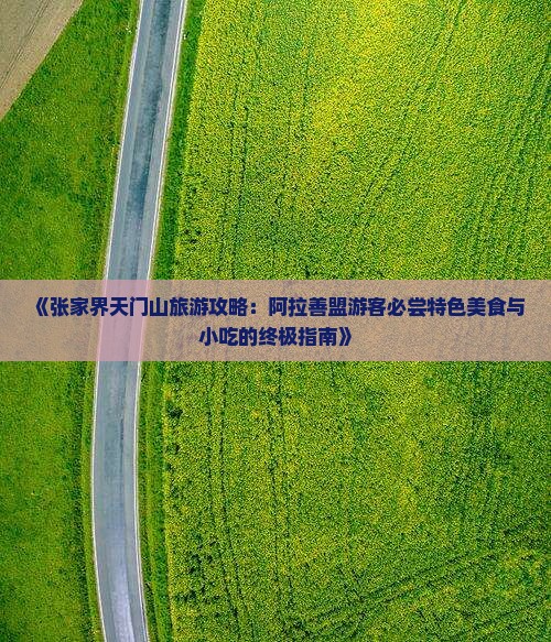 《张家界天门山旅游攻略：阿拉善盟游客必尝特色美食与小吃的终极指南》