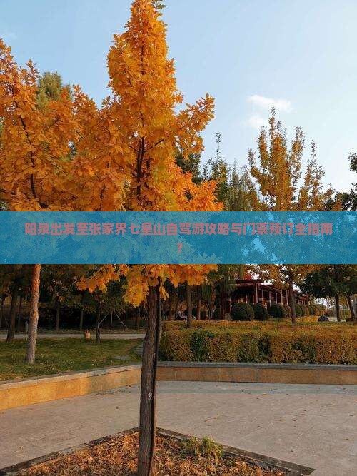 阳泉出发至张家界七星山自驾游攻略与门票预订全指南？