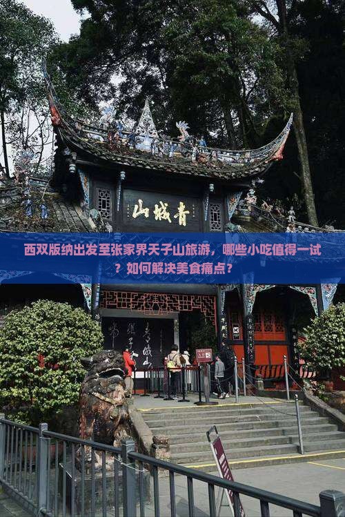 西双版纳出发至张家界天子山旅游，哪些小吃值得一试？如何解决美食痛点？