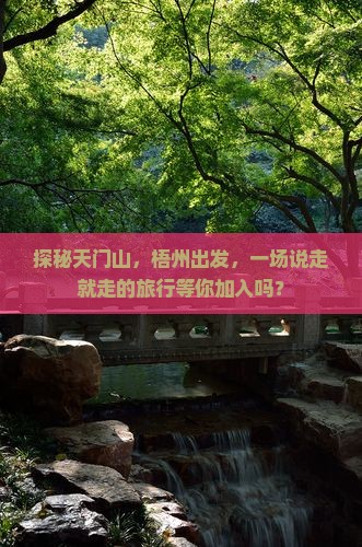 探秘天门山，梧州出发，一场说走就走的旅行等你加入吗？