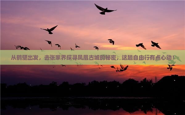 从鹤壁出发，去张家界探寻凤凰古城的秘密，这趟自由行有点心动！
