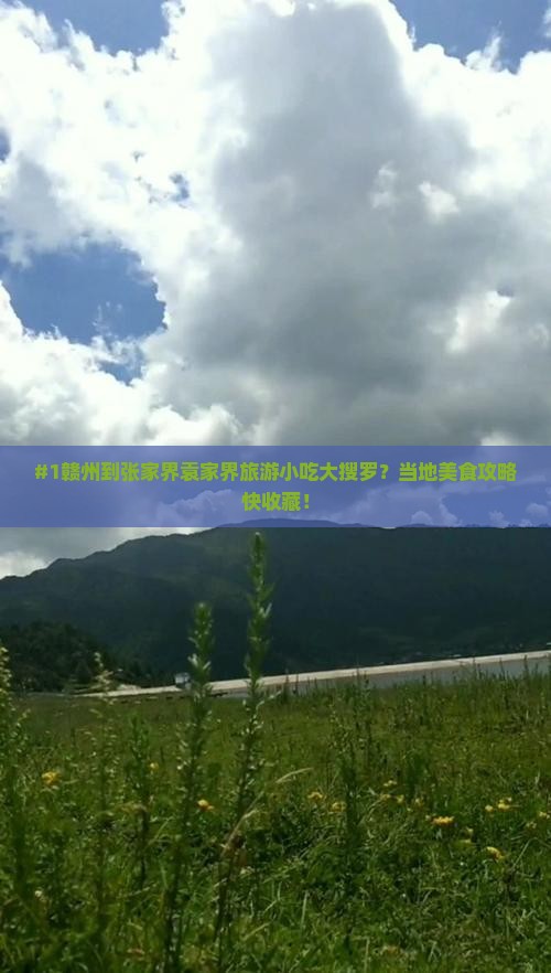 #1赣州到张家界袁家界旅游小吃大搜罗？当地美食攻略快收藏！