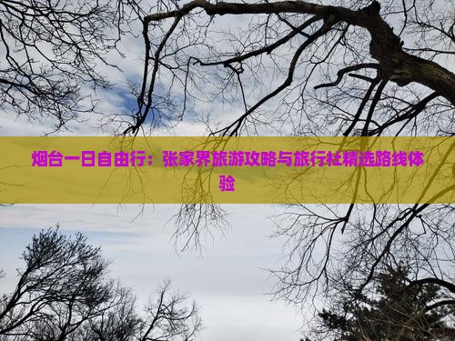 烟台一日自由行：张家界旅游攻略与旅行社精选路线体验