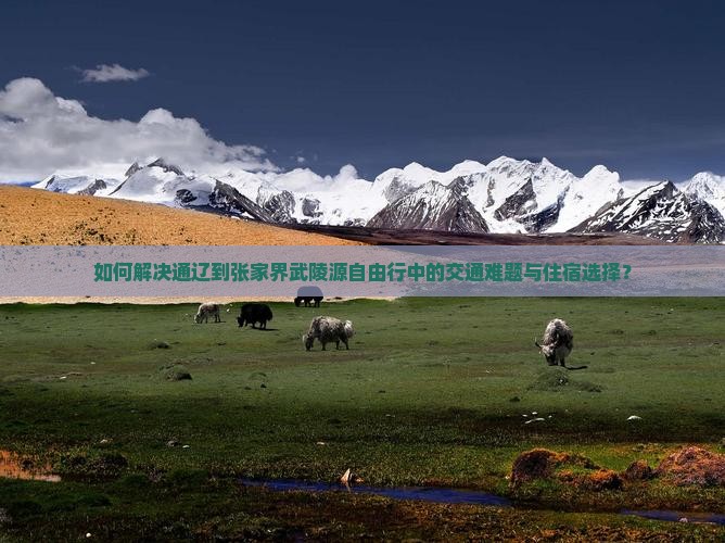 如何解决通辽到张家界武陵源自由行中的交通难题与住宿选择？