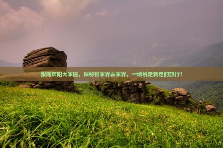 跟随庆阳大家庭，探秘张家界袁家界，一场说走就走的旅行！