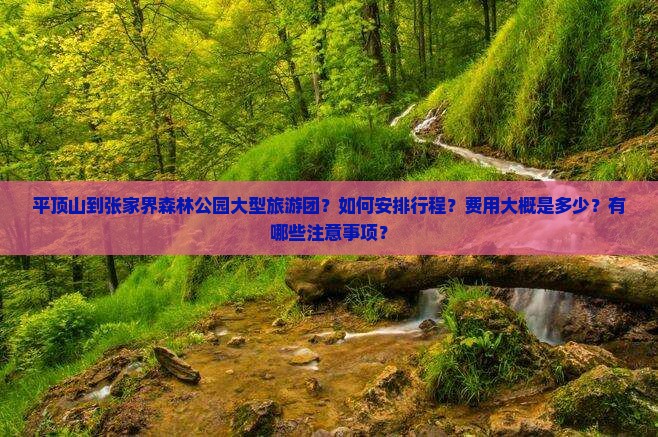 平顶山到张家界森林公园大型旅游团？如何安排行程？费用大概是多少？有哪些注意事项？