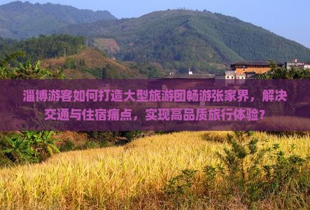 淄博游客如何打造大型旅游团畅游张家界，解决交通与住宿痛点，实现高品质旅行体验？