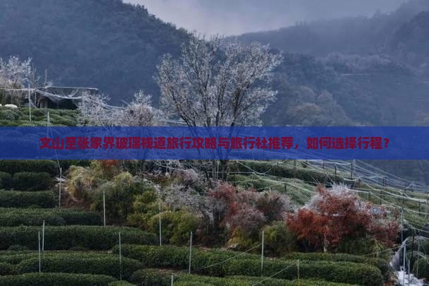 文山至张家界玻璃栈道旅行攻略与旅行社推荐，如何选择行程？