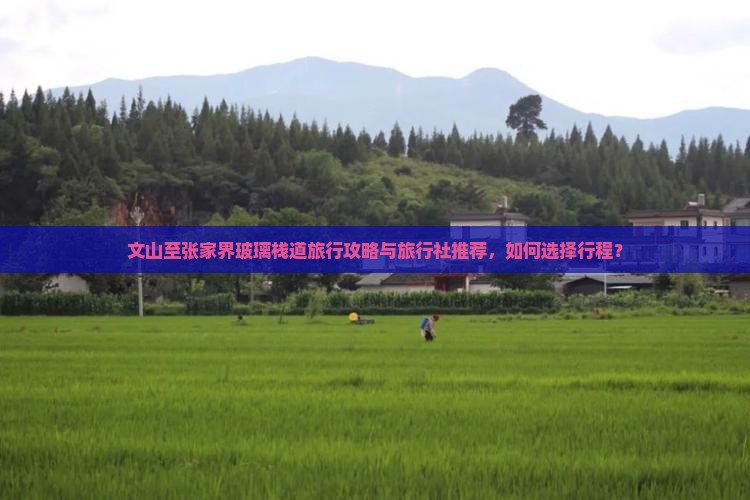 文山至张家界玻璃栈道旅行攻略与旅行社推荐，如何选择行程？