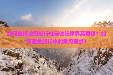 为何选择沈阳旅行社前往张家界芙蓉镇？如何避免旅行中的常见痛点？
