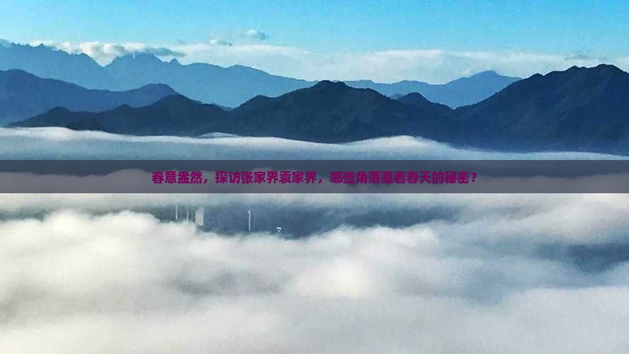 春意盎然，探访张家界袁家界，哪些角落藏着春天的秘密？