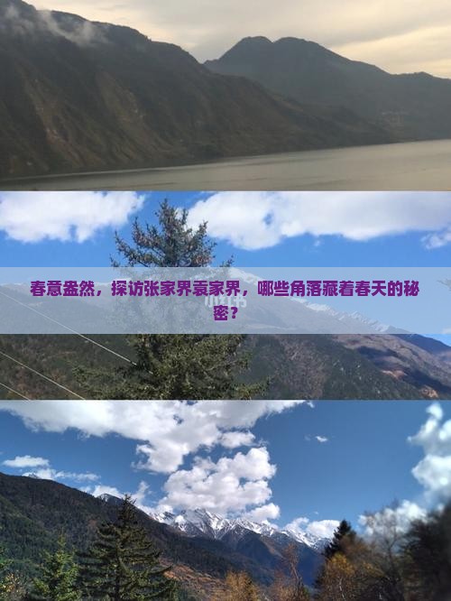 春意盎然，探访张家界袁家界，哪些角落藏着春天的秘密？