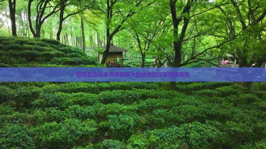 鄢陵县去张家界芙蓉镇大型旅游团行程路线指南
