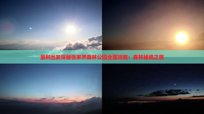 垦利出发探秘张家界森林公园全面攻略：森林秘境之旅