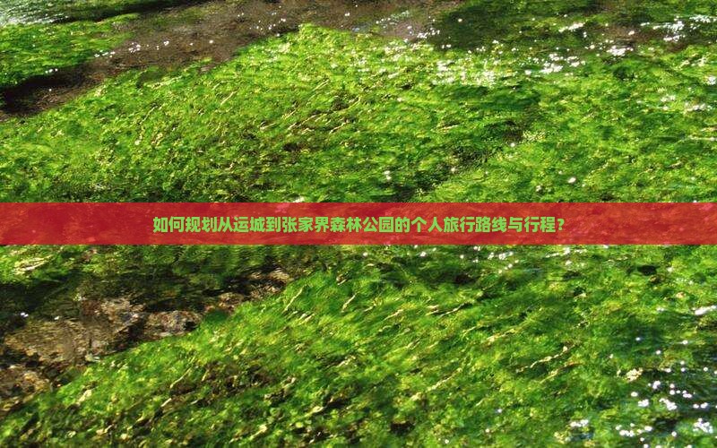 如何规划从运城到张家界森林公园的个人旅行路线与行程？