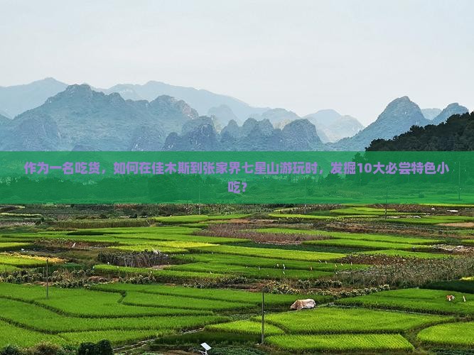 作为一名吃货，如何在佳木斯到张家界七星山游玩时，发掘10大必尝特色小吃？