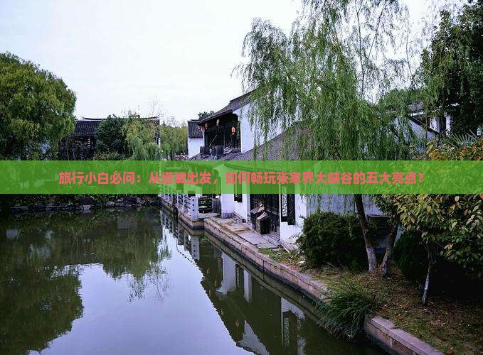 旅行小白必问：从塔城出发，如何畅玩张家界大峡谷的五大亮点？