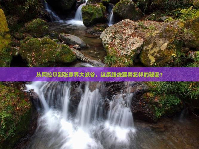 从阿拉尔到张家界大峡谷，这条路线藏着怎样的秘密？