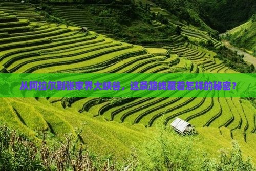 从阿拉尔到张家界大峡谷，这条路线藏着怎样的秘密？