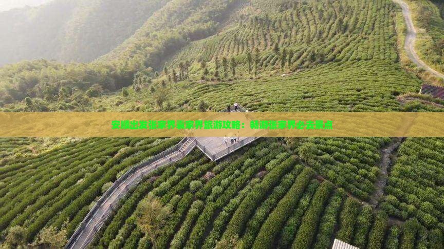 安顺出发张家界袁家界旅游攻略：畅游张家界必去景点