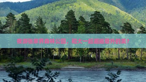 夜游张家界森林公园，和大一起邂逅意外的美？