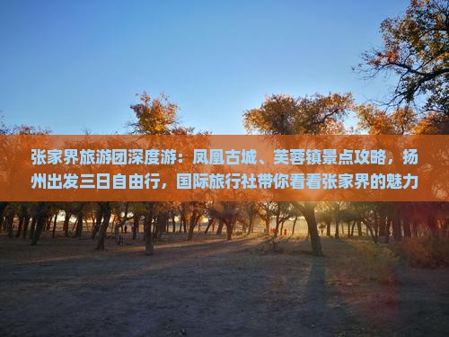 张家界旅游团深度游：凤凰古城、芙蓉镇景点攻略，扬州出发三日自由行，国际旅行社带你看看张家界的魅力之旅