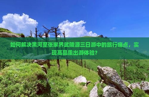 如何解决黑河至张家界武陵源三日游中的旅行痛点，实现高品质出游体验？