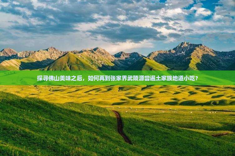 探寻佛山美味之后，如何再到张家界武陵源尝遍土家族地道小吃？