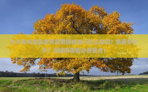 大兴安岭去张家界芙蓉镇自由行怎么规划？需要多少天？沿途有哪些必看景点？