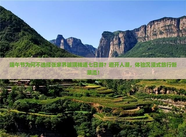端午节为何不选择张家界玻璃栈道七日游？避开人潮，体验沉浸式旅行新潮流！