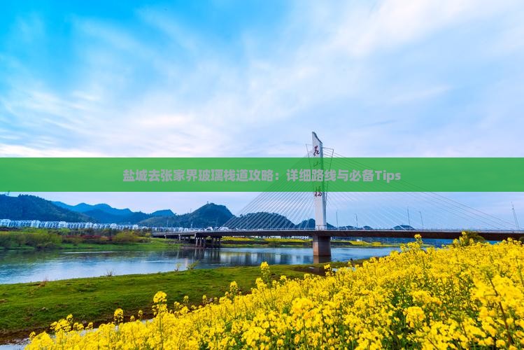 盐城去张家界玻璃栈道攻略：详细路线与必备Tips