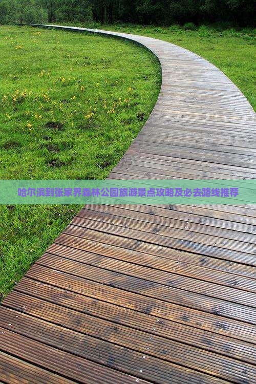 哈尔滨到张家界森林公园旅游景点攻略及必去路线推荐
