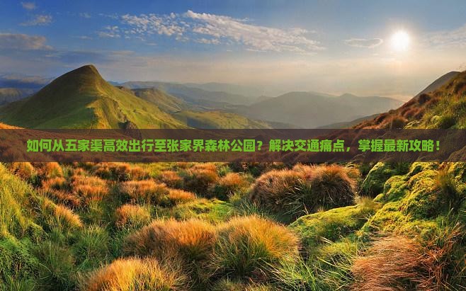 如何从五家渠高效出行至张家界森林公园？解决交通痛点，掌握最新攻略！