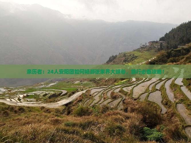 亲历者：24人安阳团如何畅游张家界大峡谷，旅行必备攻略！